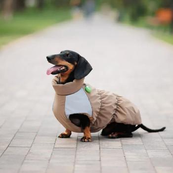 Vest Pet fashion Ukraine - buy, prices for MasterZoo - photo 4
