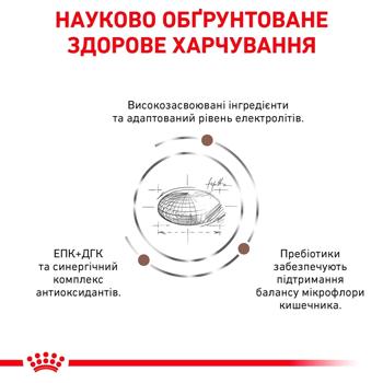 Набір корму Royal Canin Gastrointestinal для котів із захворюваннями шлунково-кишкового тракту сухий 2кг + вологий 4шт*85г - купити, ціни на MasterZoo - фото 6