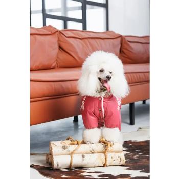 Combination Pet fashion - buy, prices for MasterZoo - photo 5