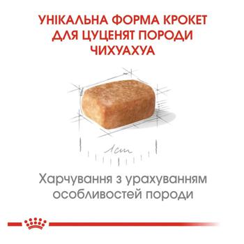 Корм сухий Royal Canin з домашньою птицею для цуценят породи чихуахуа 1,2кг + 300г - купити, ціни на MasterZoo - фото 5