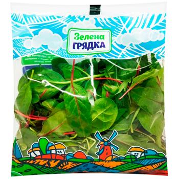 Салат мікс Зелена Грядка 100г Бебі мікс м/у - купити, ціни на Восторг - фото 1