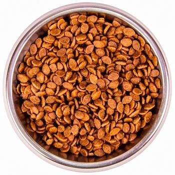 Корм сухой Monge Bwild Low Grain с зайцем для кошек 1,5кг - купить, цены на MasterZoo - фото 3