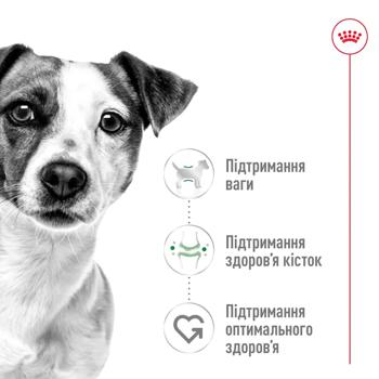 Корм сухой Royal Canin Adult с домашней птицей для собак малых пород 4кг - купить, цены на MasterZoo - фото 6