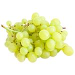 White Grapes Spain