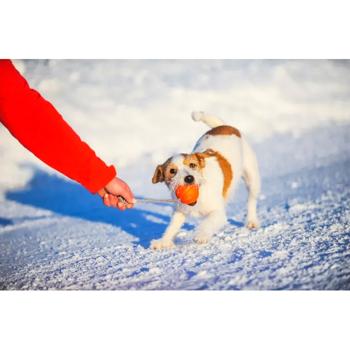 Liker Cord 7 Ball with String Toy for Dogs 7cm / 30cm - buy, prices for MasterZoo - photo 3