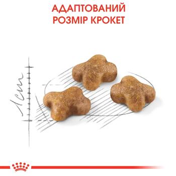 Корм сухий Royal Canin Kitten з домашньою птицею для кошенят 2кг+400г - купити, ціни на MasterZoo - фото 5