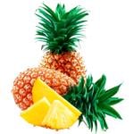 Zenalco Pineapple