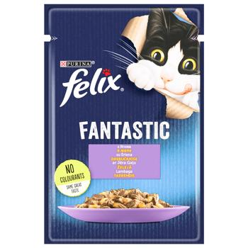 Корм вологий Felix Fantastic з ягням для дорослих котів 85г - купити, ціни на MasterZoo - фото 1
