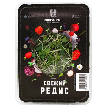 Microgreen Purple Radish 50g