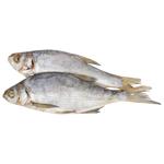 Samy Smak Shelf Sun Dried Bream