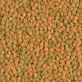 Tetra Wafer Mix Round Food for Bottom Fish 3.6l - buy, prices for MasterZoo - photo 2