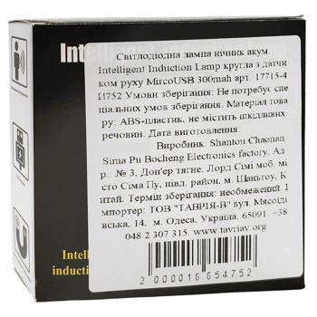 Ночник Intelligent Induction Lamp светодиодный аккумуляторный с датчиком движения MircoUSB 300mah - купить, цены на - фото 2