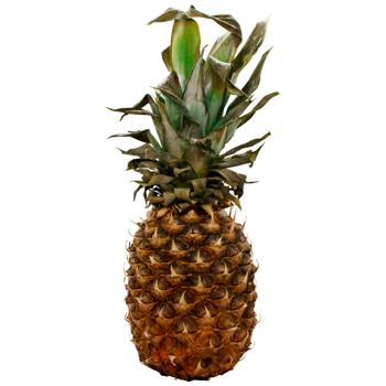 Pineapple #6, pc - buy, prices for EKO Market - photo 1