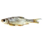 Вобла вяленая с икрой