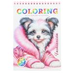 Раскраска Art Studio of Happiness с наклейками 21х14,8см 12 листов