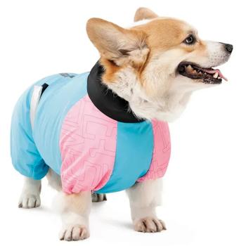 Pet Fashion Milly Overalls for Dogs with Reflective Elements s.S dachshund - buy, prices for MasterZoo - photo 2
