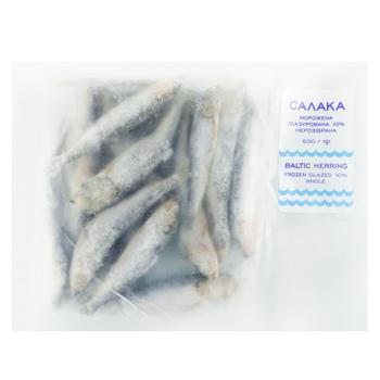 Glazed Frozen Unassembled Sprat 500g - buy, prices for NOVUS - photo 1