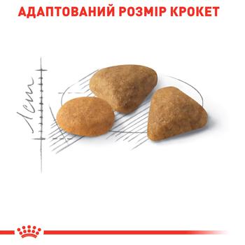 Корм сухий Royal Canin Savour Exigent з домашньою птицею для вибагливих котів 2кг - купити, ціни на MasterZoo - фото 5