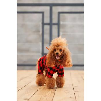 Costume Pet fashion - buy, prices for MasterZoo - photo 8