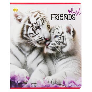 Tetrada Notebook in line 36p. assortment - buy, prices for Auchan - photo 6