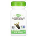 Nature's Way Whole Thallus Bladderwrack 580mg 100 capsules