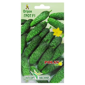 Elitsortnasinnia Grot F1 Cucumber Seeds 20pcs