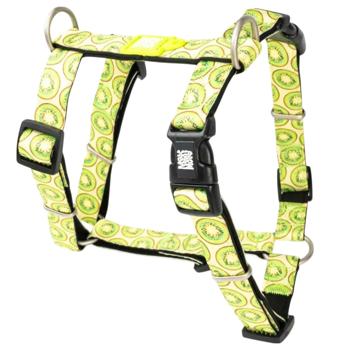 Leash - buy, prices for MasterZoo - photo 1