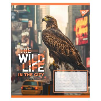 Зошит Yes The Wild in The City клітинка А5 24 аркуші - купити, ціни на NOVUS - фото 4