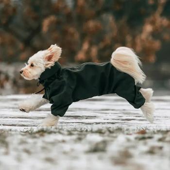 Комбинезон для собак Noble Pet Travis р.S хаки - купить, цены на MasterZoo - фото 7