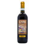 Cari Saluti Montepulciano d'Abruzzo Red Dry Wine 12.5% 0.75l