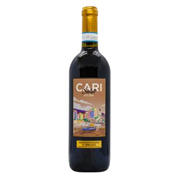 Вино Cari Saluti Montepulciano d'Abruzzo черв. сухе 12,5% 0,75л - купити, ціни на За Раз - фото 1