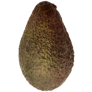 Hass Avocado Caliber 24, pc - buy, prices for Vostorg - photo 1