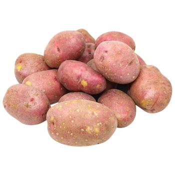 Young Pink Potatoes