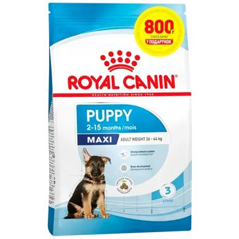 Royal Canin Dry Food for Puppies of Large Breeds 3.2+800g