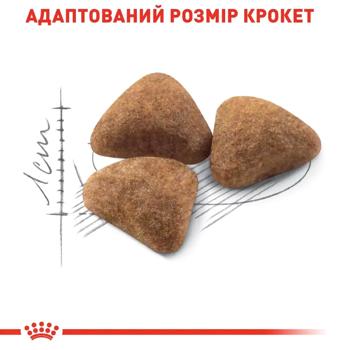 Набір корму Royal Canin Indoor 27 для домашніх котів cухий 2кг + вологий 4шт х 85г - купити, ціни на MasterZoo - фото 6