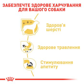 Royal Canin Adult Wet Food with Poultry for Dogs of Chihuahua Breed 85g - buy, prices for - photo 5