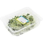 Sunflower Microgreens 50g