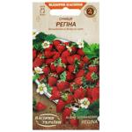 Nasinnia Ukrainy Regina Strawberry Seeds 0.1g