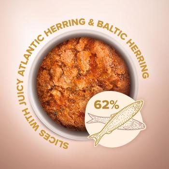 Club 4 Paws Premium Selection Wet Food with Atlantic Herring and Baltic Herring for Cats 80g - buy, prices for - photo 2