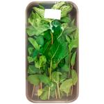 М'ята пучок