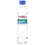 Truskavetska Highly Carbonated Mineral Water 0.5l