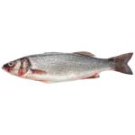 UFC Chilled European Seabass 300-400