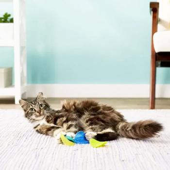 Іграшка для котів Petstages Toss N' Flip Chips 6 см х 5 см - купити, ціни на MasterZoo - фото 2