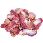 Шлунок домашньої бройлерної курки