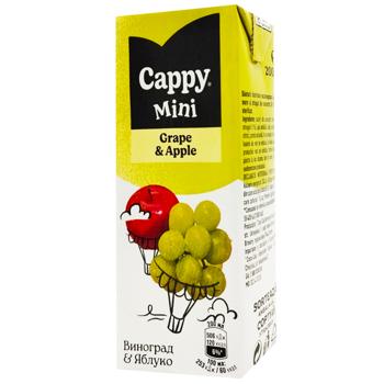 Нектар Cappy Mini виноград-яблоко 200мл - купить, цены на МегаМаркет - фото 1