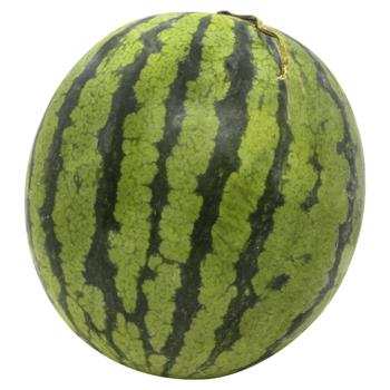 Mini Watermelon Ukraine - buy, prices for - photo 1