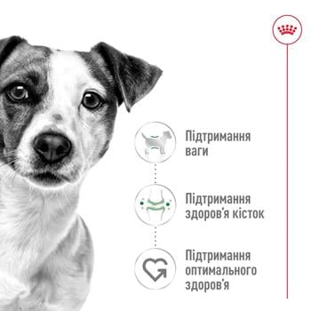 Сухий корм для собак Royal Canin Mini Adult 1,6 кг + 400 г - домашня птиця - купити, ціни на MasterZoo - фото 3