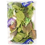 Salute Mix Pak Choy with Spinach Lettuce