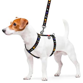 Waudog Nylon H-Shaped Harness for Dogs with QR Passport 30-40cm/15mm with Nasa Design - buy, prices for MasterZoo - photo 3