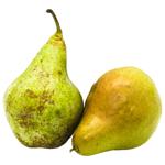 November Pear